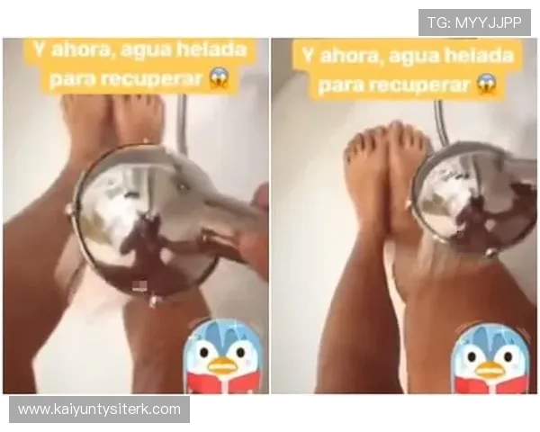 开云体育是真的吗如何辨别平台的真实性与安全性详解