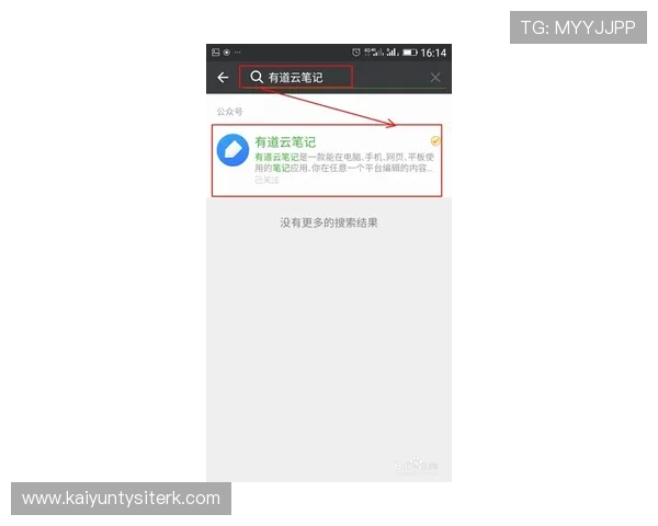 开云手机官网入口客服如何协助玩家处理游戏内投诉与反馈的实用技巧